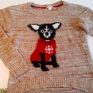 Chihuahua sweater
